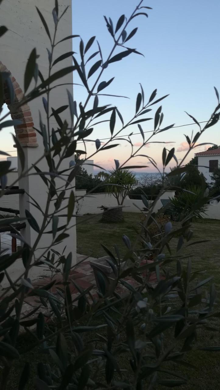 Villa Dolly Porto Columbu - Perd'E Sali Esterno foto