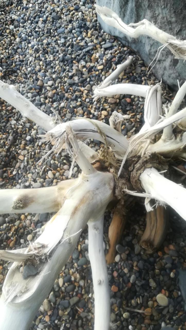 Villa Dolly Porto Columbu - Perd'E Sali Esterno foto