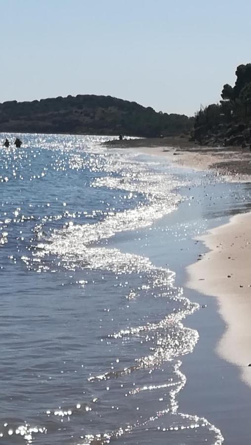 Villa Dolly Porto Columbu - Perd'E Sali Esterno foto